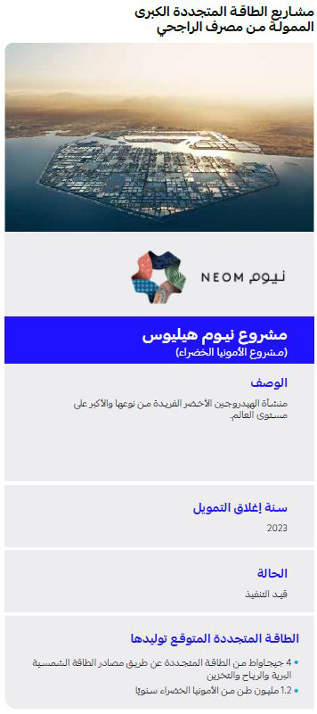 NEOM Project